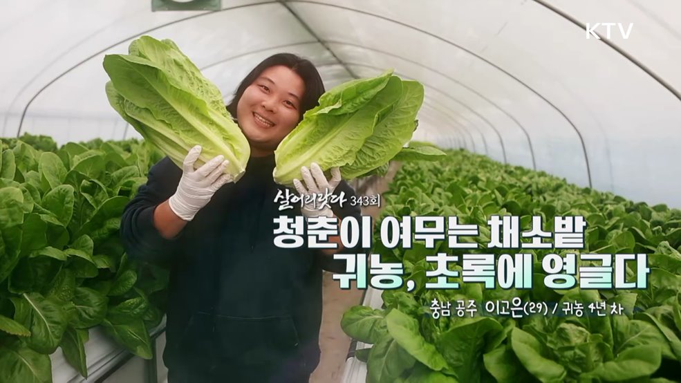 청춘이 여무는 채소밭 귀농, 초록에 영글다