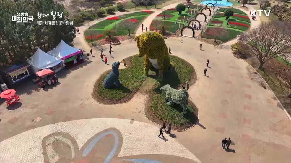 태안군 세계튤립꽃박람회 [함께 힐링]