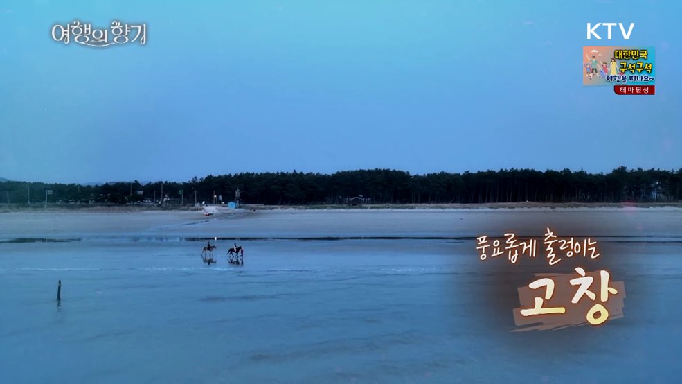 풍요롭게 출렁이는, 고창