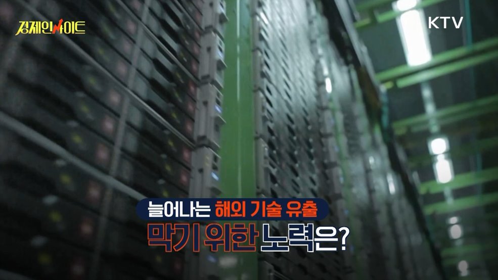 생방송 경제 인사이트 (294회)