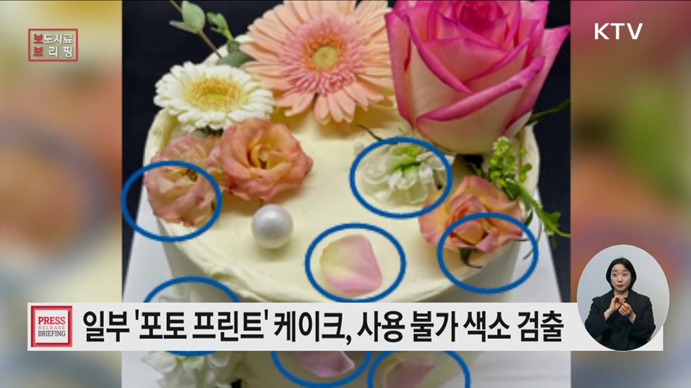 포토프린트 케이크에서 사용 불가 색소 검출