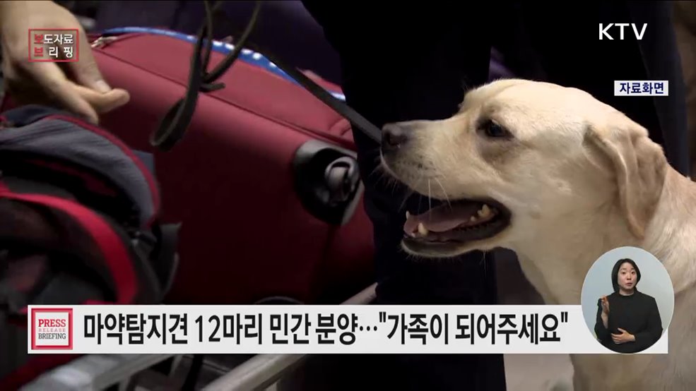 마약탐지견의 새로운 가족을 찾습니다