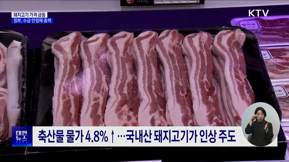 돼지고기 가격 급등···정부, 수급 안정에 총력