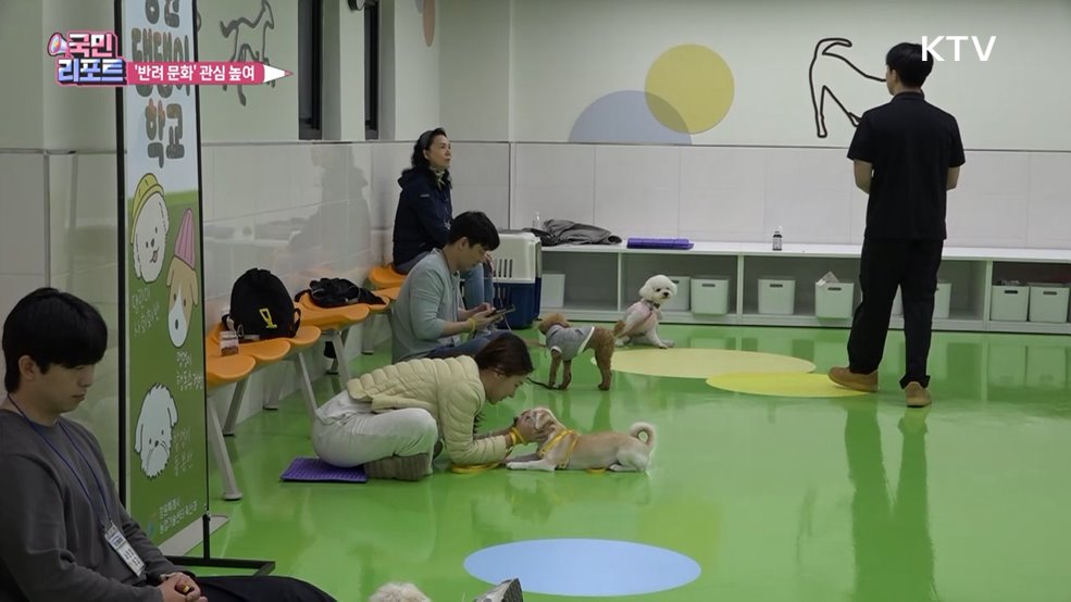 반려 문화 관심 높이는 '댕댕이 학교' 호응