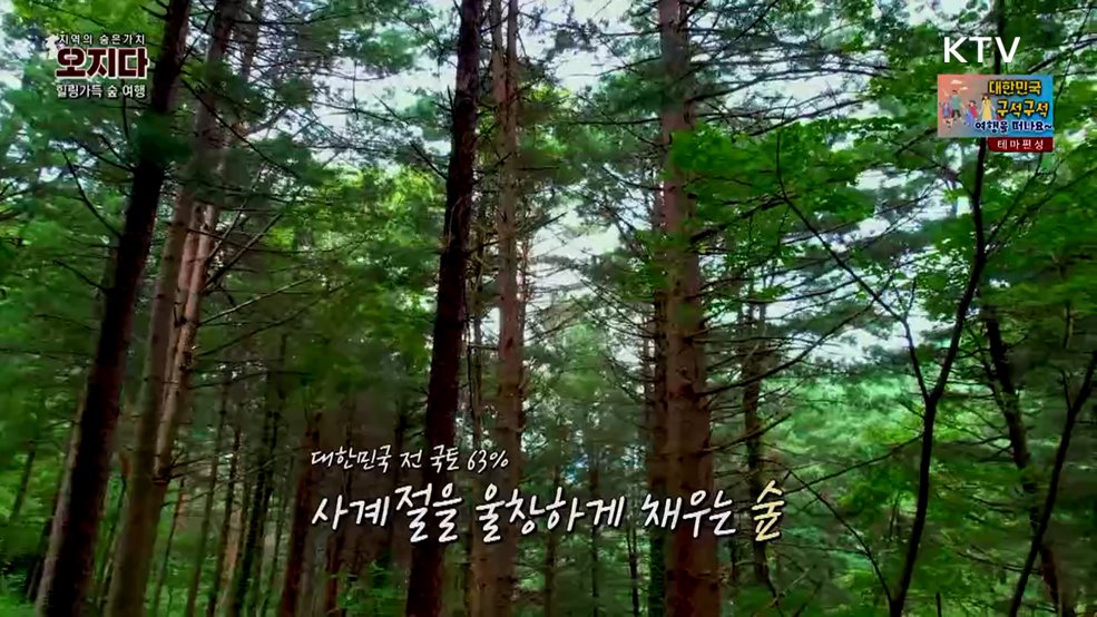 국립자연휴양림