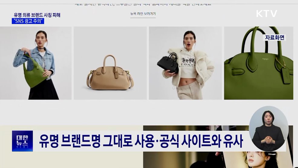 유명 의류 브랜드 사칭쇼핑몰 기승···"SNS 광고 주의"