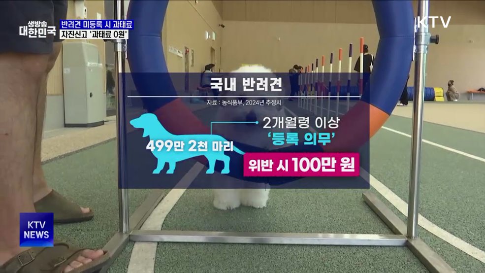 "반려견 등록하세요"···자진신고 '과태료 0원'