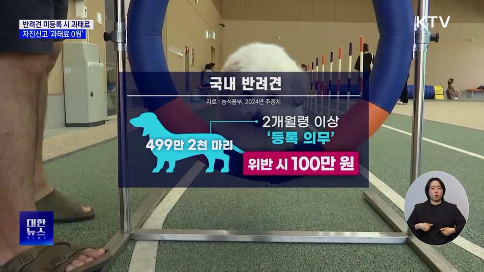 "반려견 등록하세요"···자진신고 '과태료 0원'