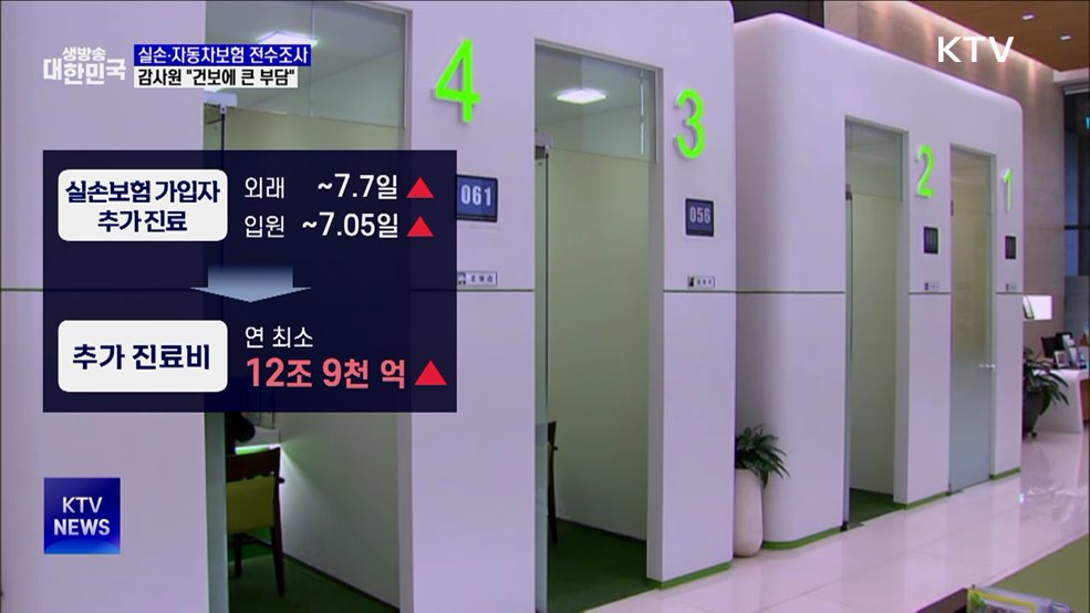 감사원 "실손·자동차보험, 건보 재정에 부담"