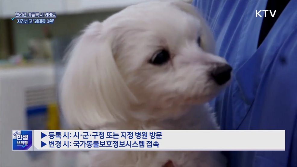 "반려견 등록하세요"···자진신고 '과태료 0원'