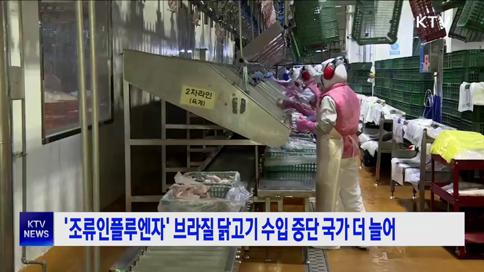 '조류인플루엔자' 브라질 닭고기 수입 중단 국가 더 늘어