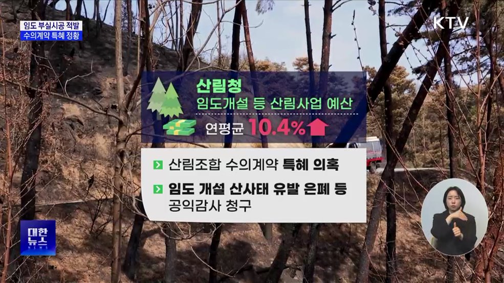 감사원 "임도 부실시공···수의계약 특혜 정황"