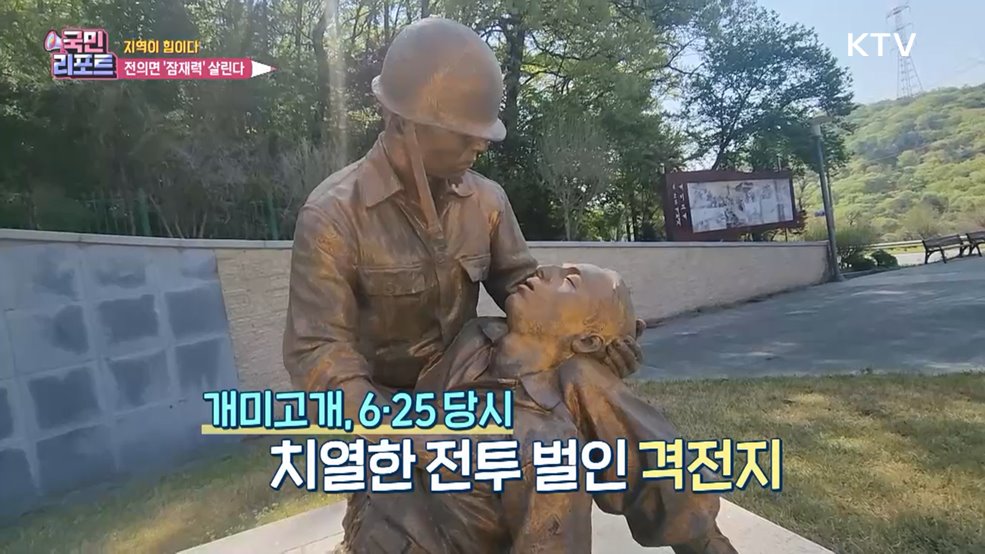 역사·문화 공존하는 '세종시 전의면' 살리자