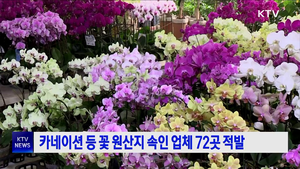 카네이션 등 꽃 원산지 속인 업체 72곳 적발