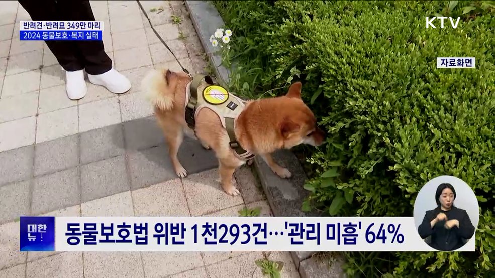 반려견·반려묘 '349만 마리'···전년비 6.3%↑