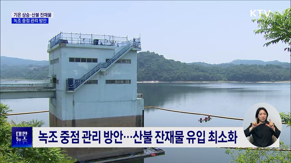 여름철 녹조 비상···토사·산불잔재물 유입 차단