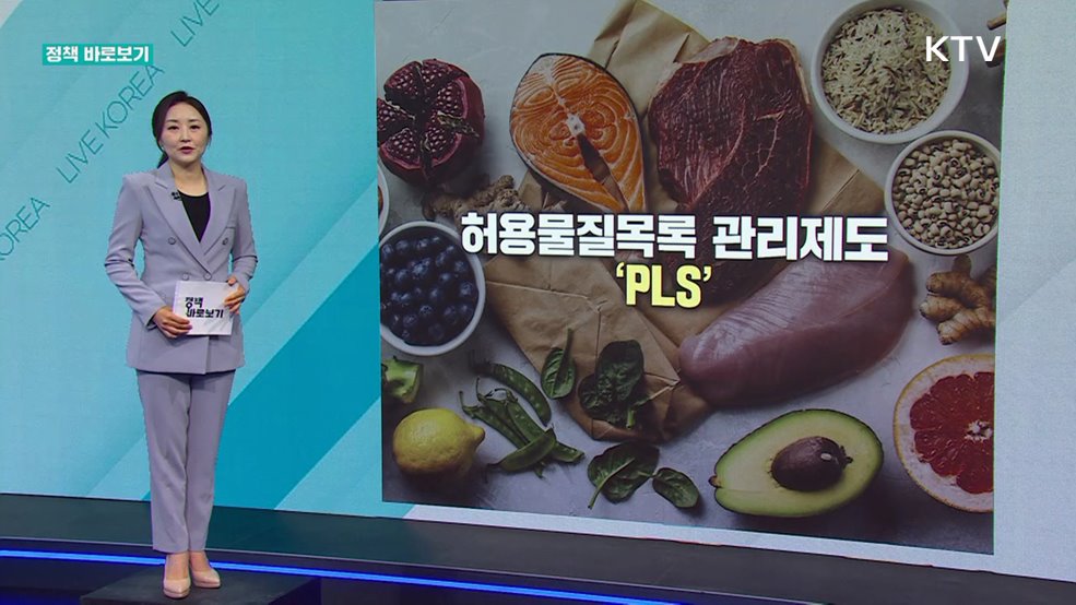 정책 바로보기 (654회)