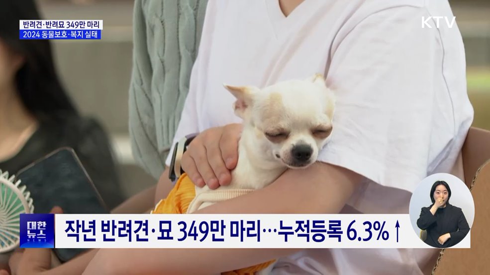 반려견·반려묘 '349만 마리'···전년비 6.3%↑