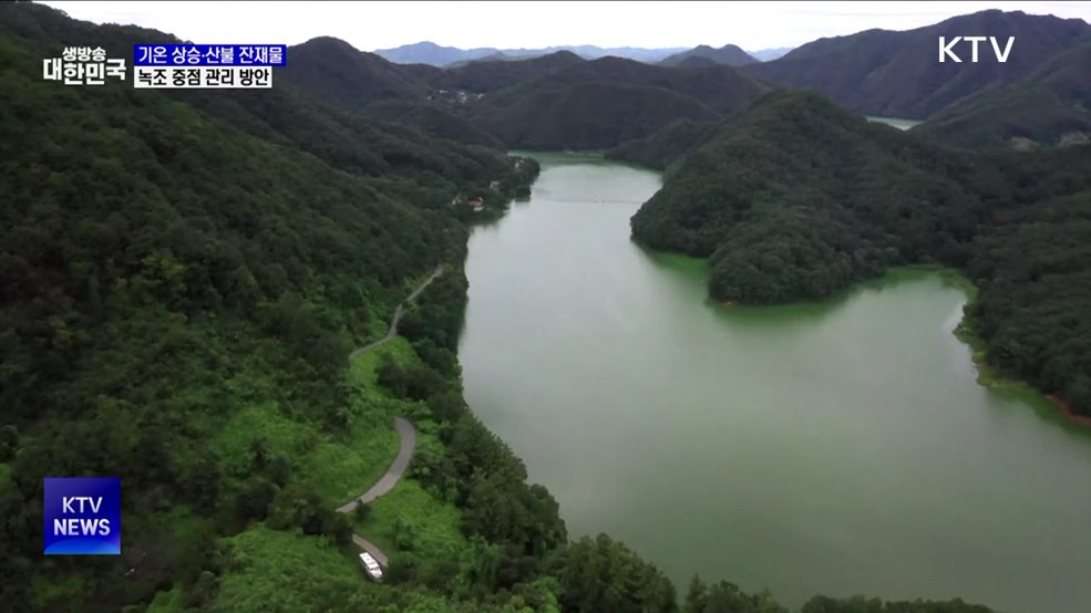 여름철 녹조 비상···토사·산불잔재물 유입 차단