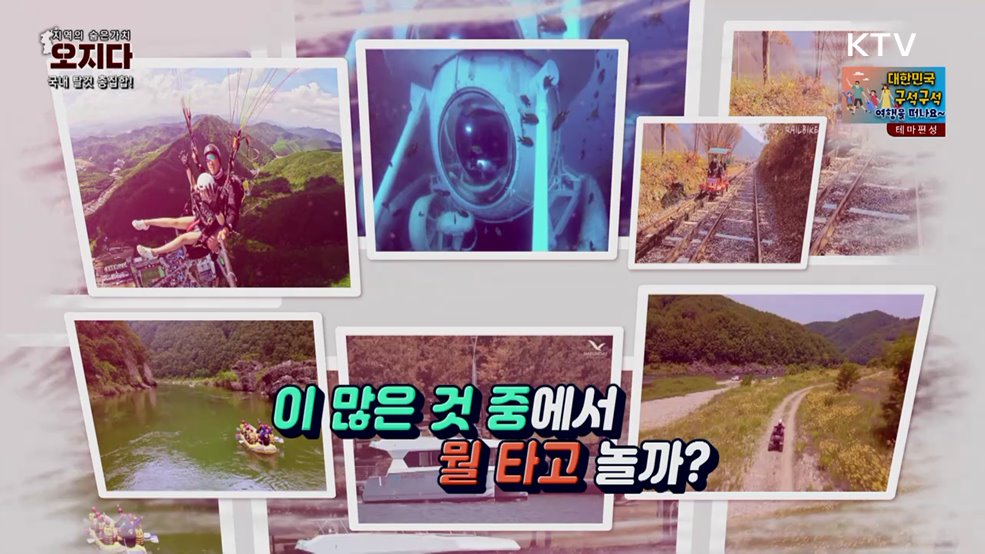 국내 탈것 총집합!