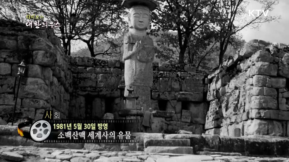 다시보는 대한늬우스 (81. 5. 30.)