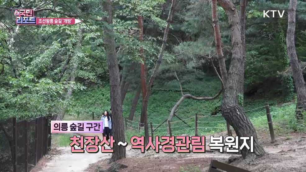 조선왕릉 숲길 8곳 개방, 국내외 방문객 인기