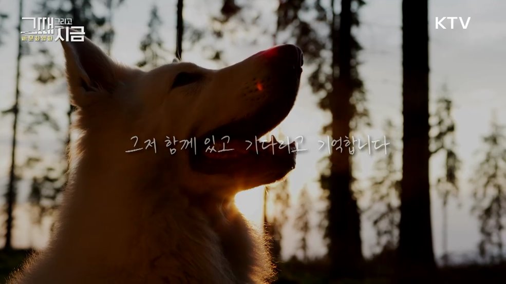 반려견, 마음의 가족으로