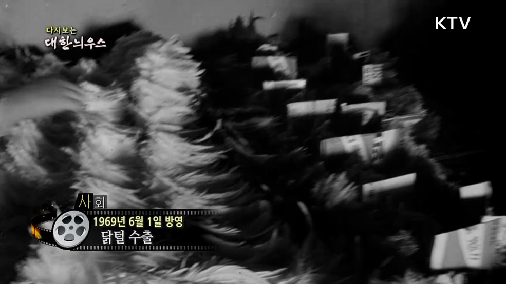 다시보는 대한늬우스 (69. 6. 1.)