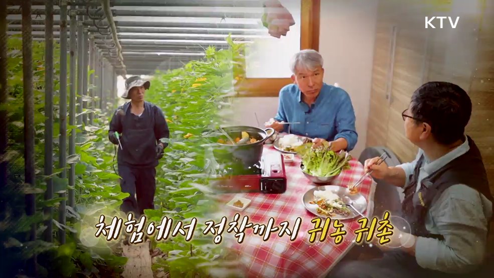 체험에서 정착까지 귀농 귀촌