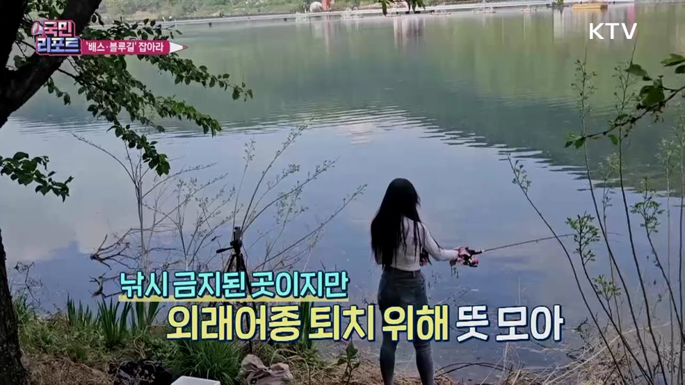 생태계 지키자, 낚시로 '유해 외래어종' 퇴치