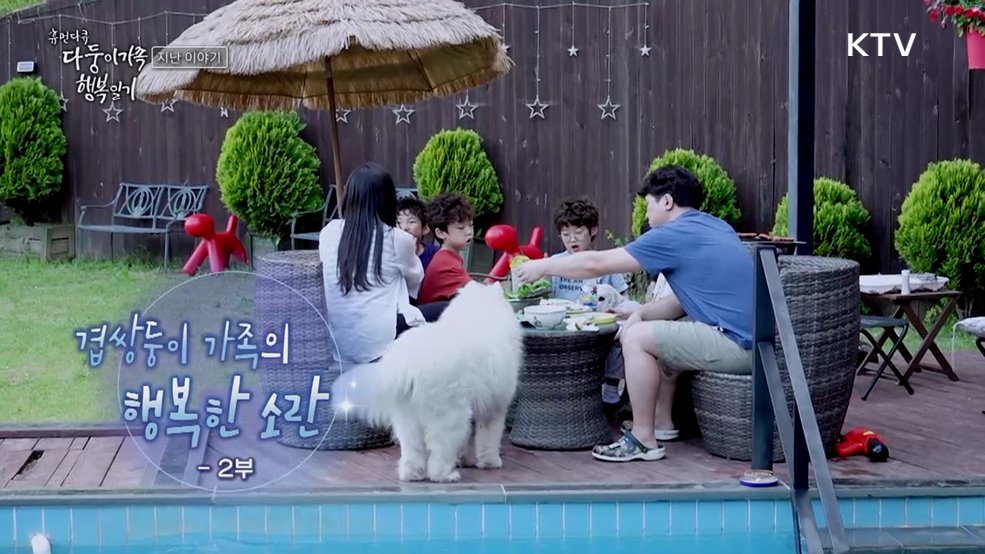 겹쌍둥이 가족의 행복한 소란 2부