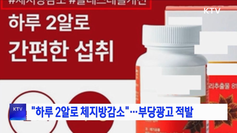"하루 2알로 체지방감소"···부당광고 적발