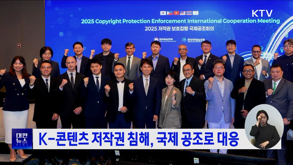 K-콘텐츠 저작권 침해, 국제 공조로 대응