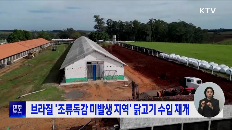 브라질 '조류독감 미발생 지역' 닭고기 수입 재개