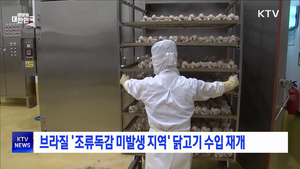 브라질 '조류독감 미발생 지역' 닭고기 수입 재개