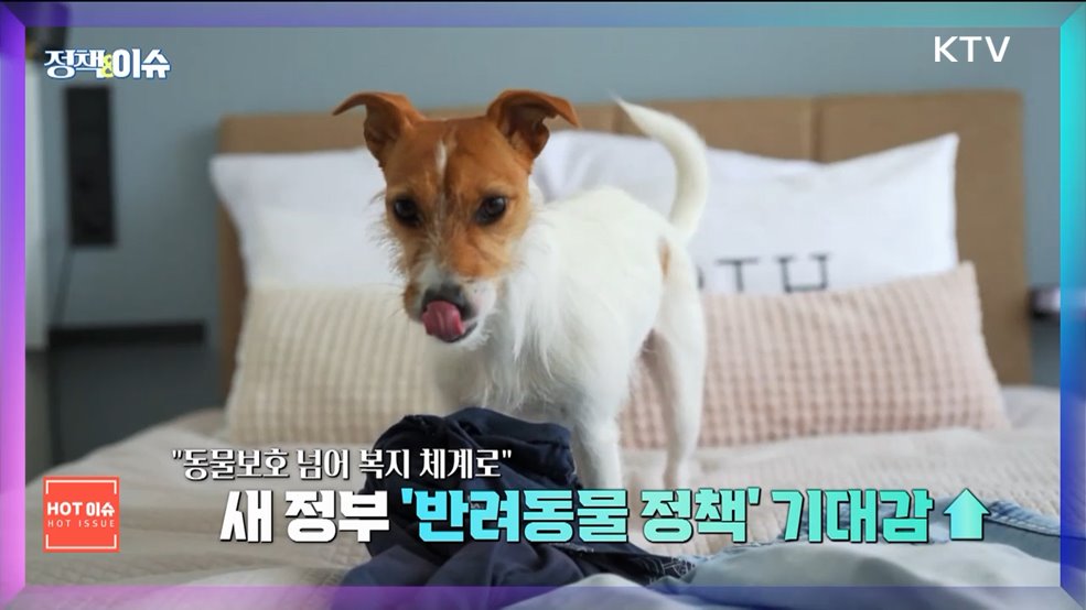 생방송 정책&이슈 (590회)