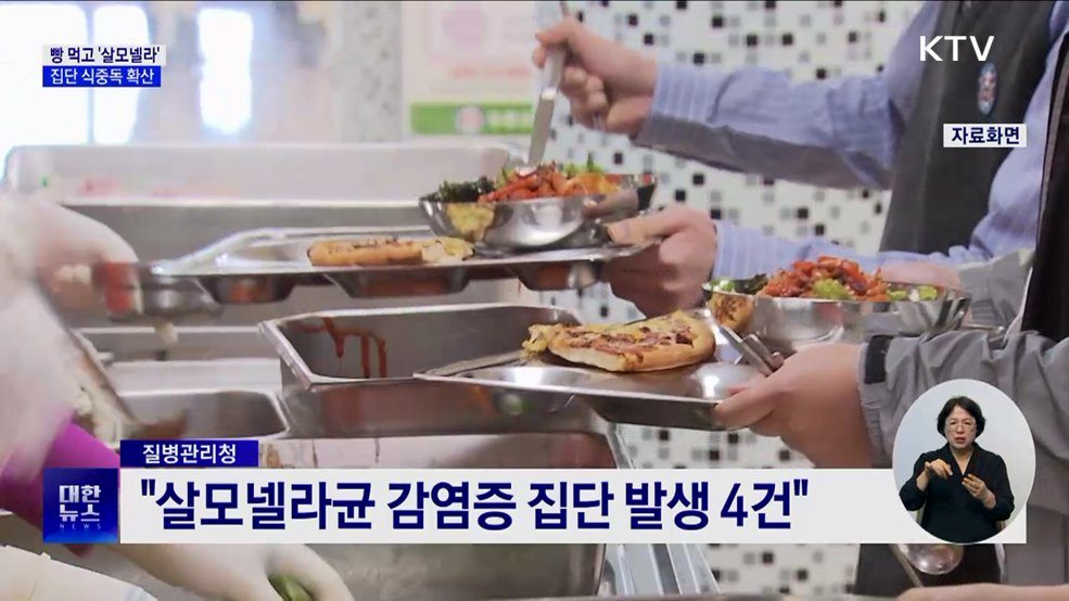 빵 섭취 후 200여 명 '살모넬라' 집단 식중독