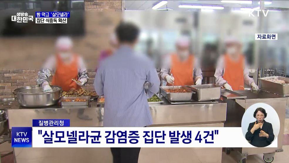 빵 섭취 후 200여 명 '살모넬라' 집단 식중독