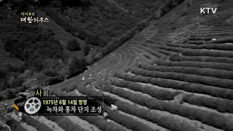 다시보는 대한늬우스 (75. 6. 14.)