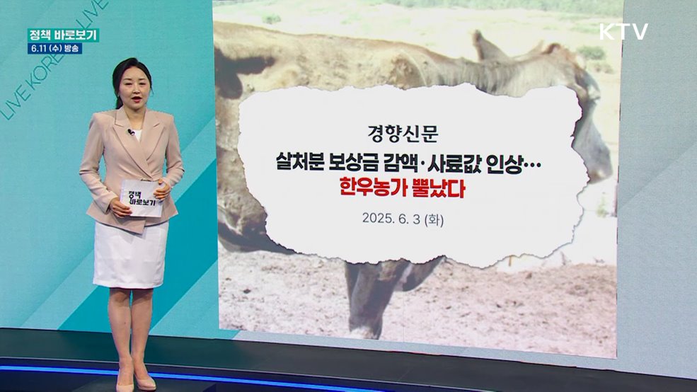 '럼피스킨' 제2종 가축전염병으로 낮춰···"농가 피해 '미미' 예상"