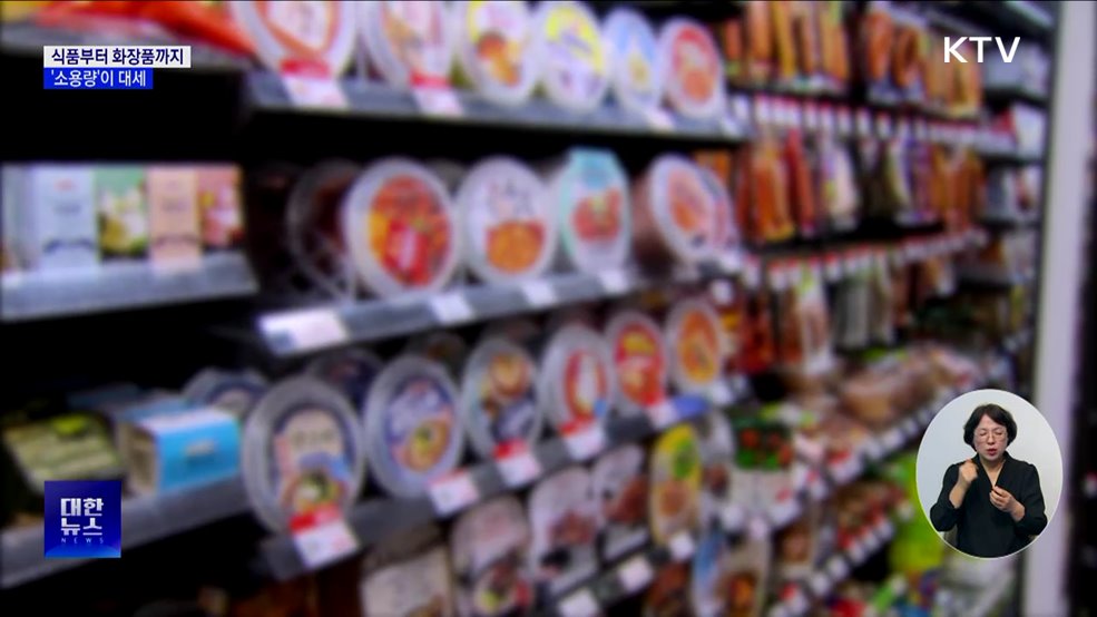 "줄여야 산다"···1인가구 증가에 '소용량 제품' 인기