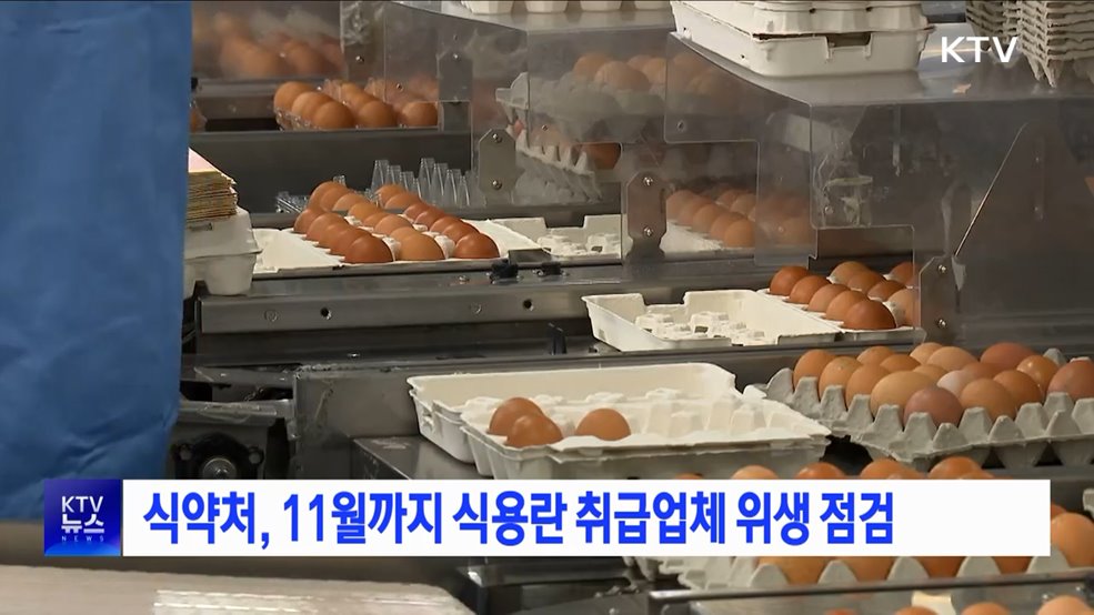 식약처, 11월까지 식용란 취급업체 위생 점검