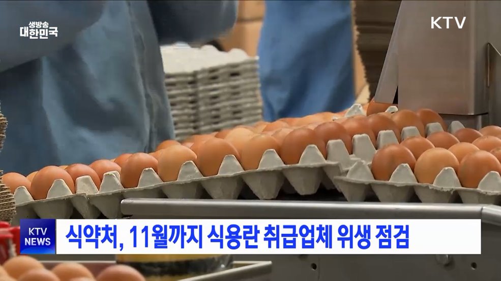 식약처, 11월까지 식용란 취급업체 위생 점검