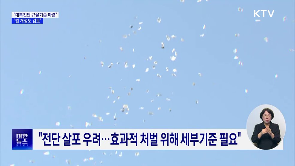 "대북전단 규율기준 마련···법 개정도 검토"