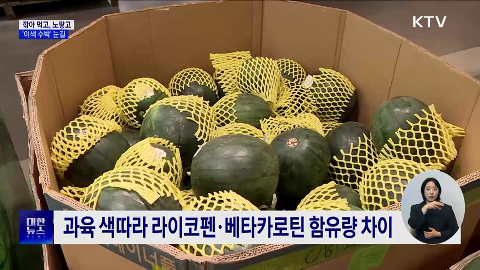 깎아 먹고, 노랗고···더위 속 '이색 수박' 눈길