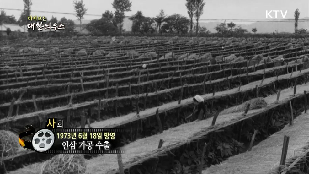 다시보는 대한늬우스 (73. 6. 18.)