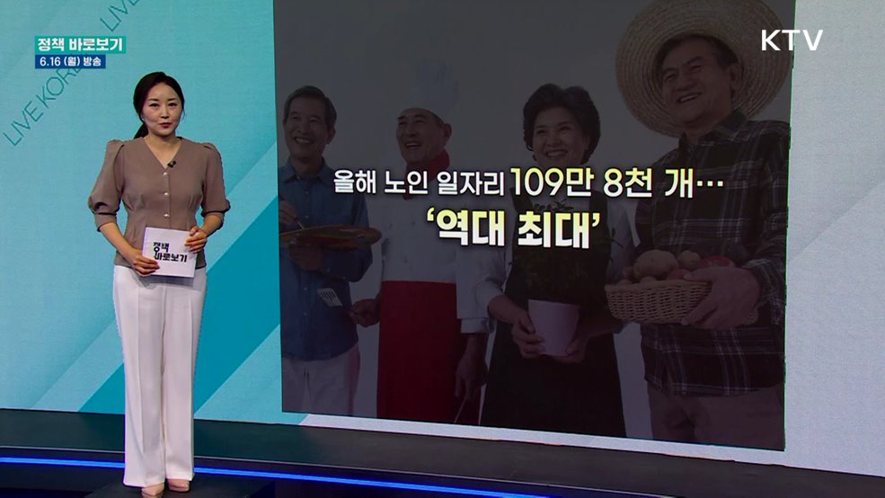 복지부 "노인일자리 참여자 안전관리 위해 노력"