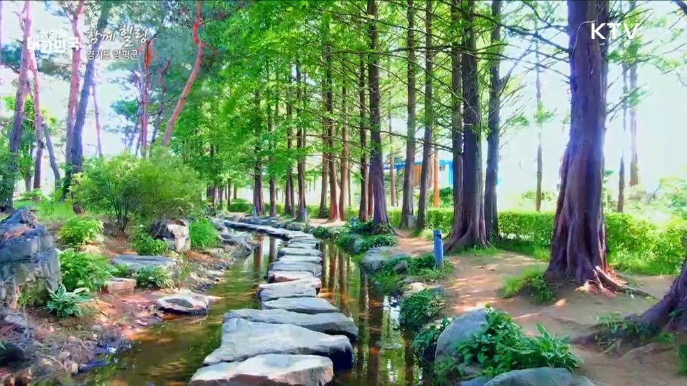 경기도 양평군 [함께 힐링]