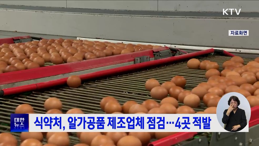 식약처, 알가공품 제조업체 점검···4곳 적발