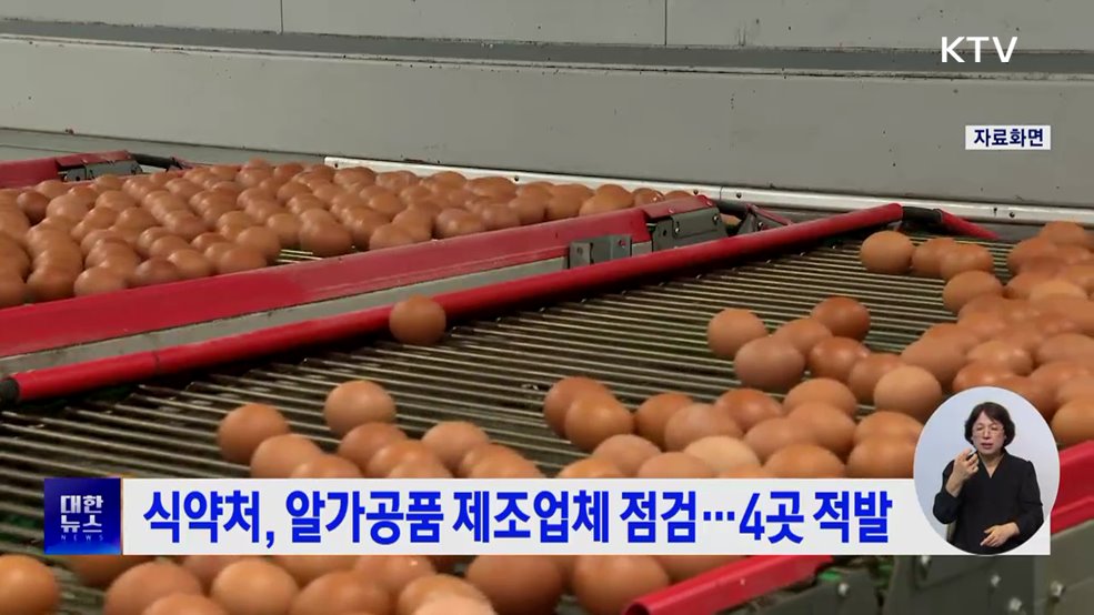 식약처, 알가공품 제조업체 점검···4곳 적발